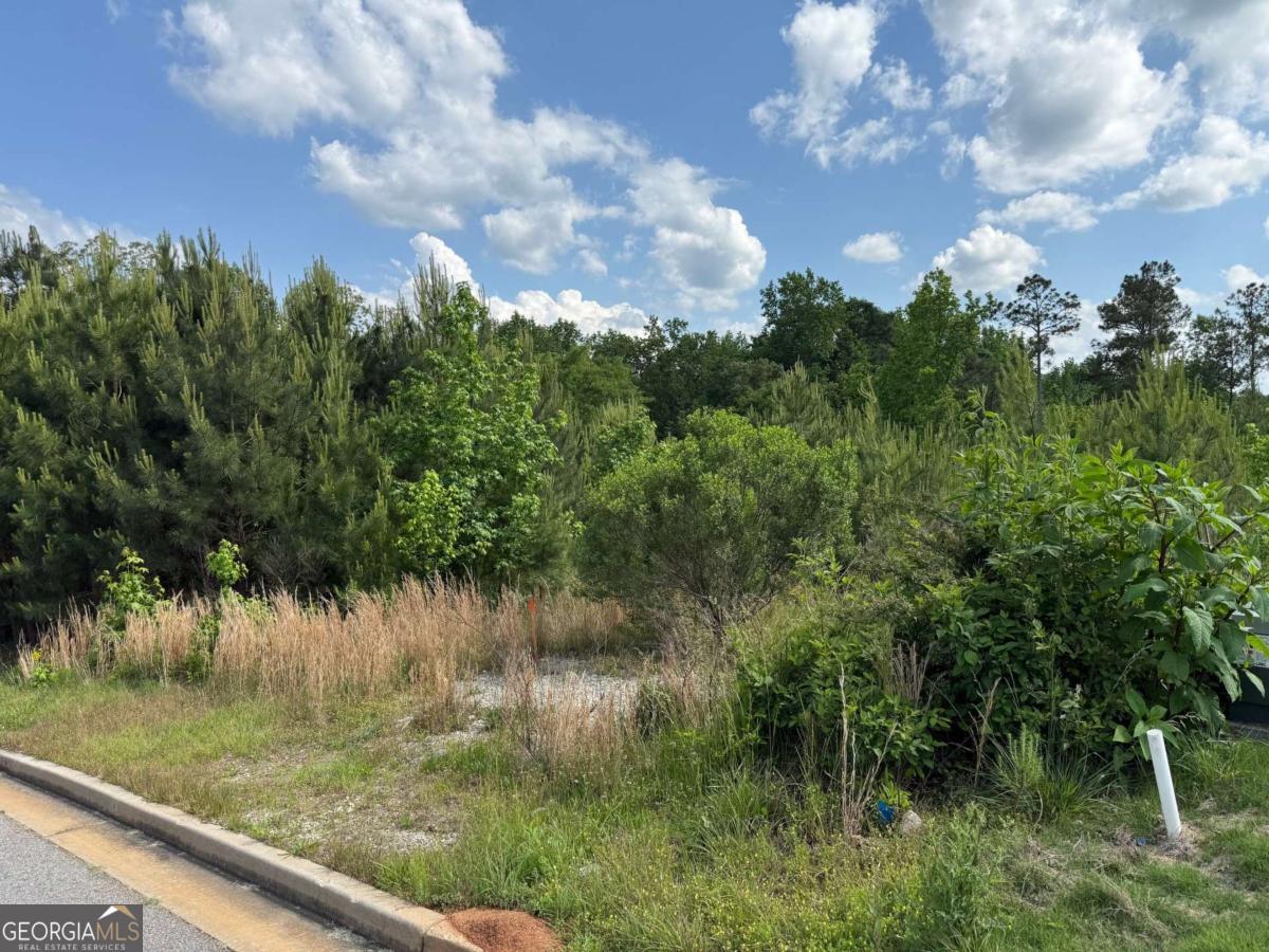 40 Arbor Springs Parkway Newnan GA 30265