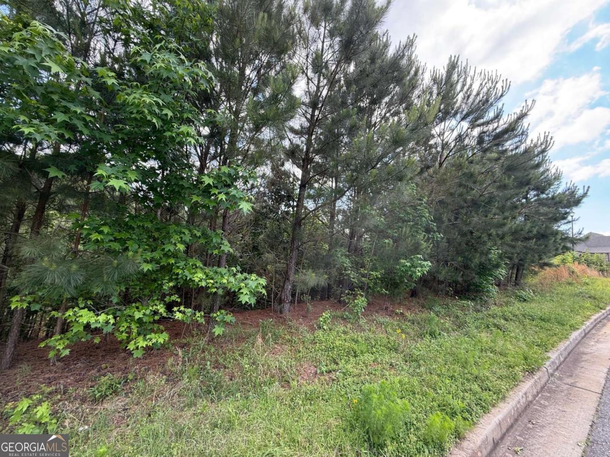 40 Arbor Springs Parkway Newnan GA 30265