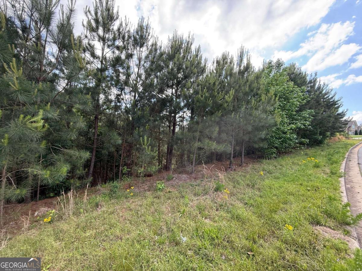40 Arbor Springs Parkway Newnan GA 30265