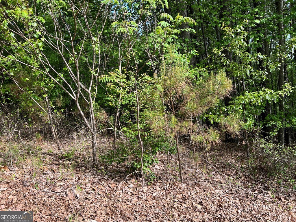 Lot 25 Loftis Mountain Blairsville GA 30512