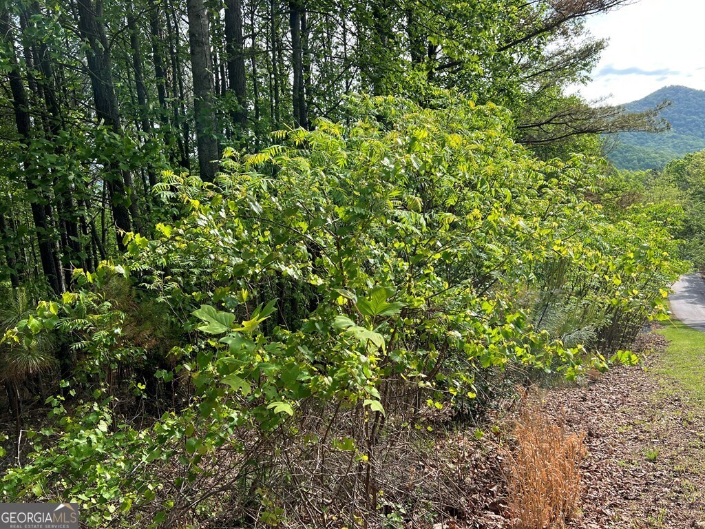 Lot 25 Loftis Mountain Blairsville GA 30512