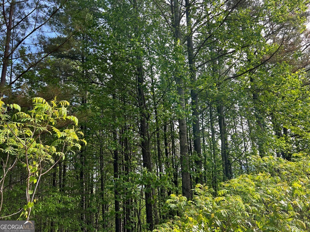 Lot 25 Loftis Mountain Blairsville GA 30512
