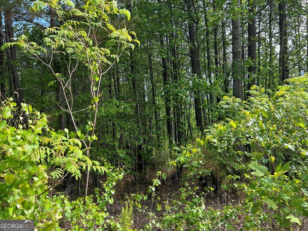 Lot 25 Loftis Mountain Blairsville GA 30512