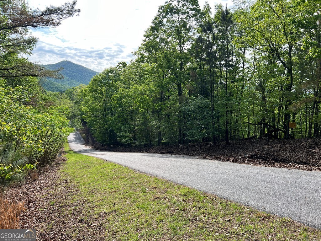 Lot 25 Loftis Mountain Blairsville GA 30512