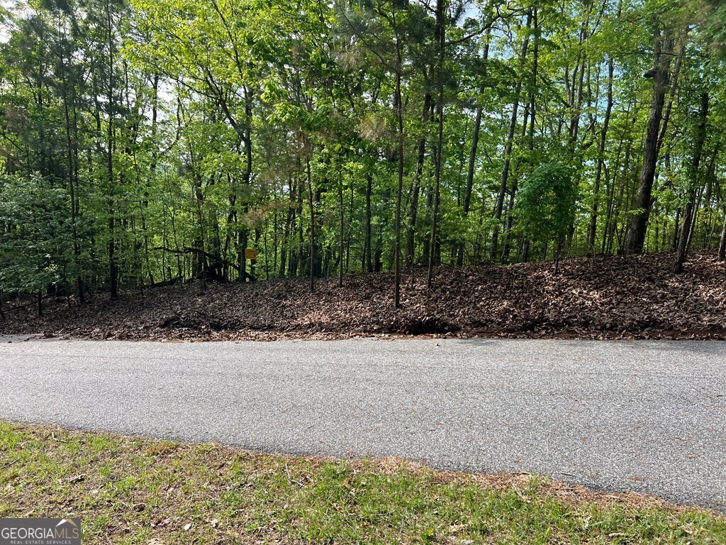 Lot 25 Loftis Mountain Blairsville GA 30512