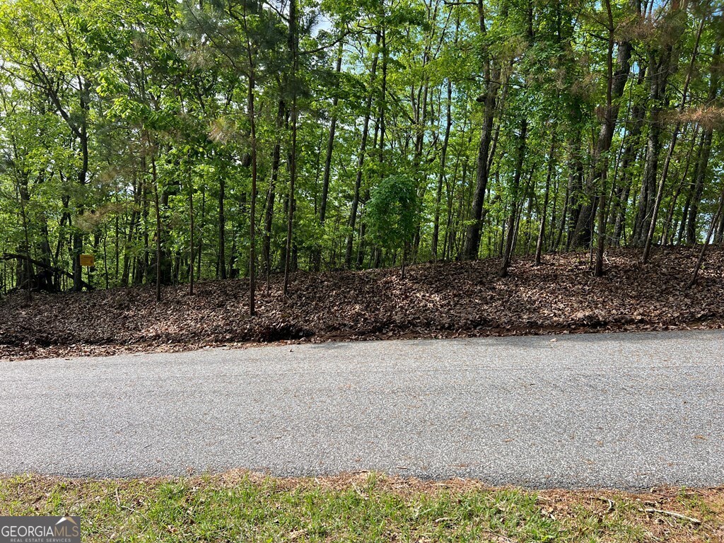 Lot 25 Loftis Mountain Blairsville GA 30512