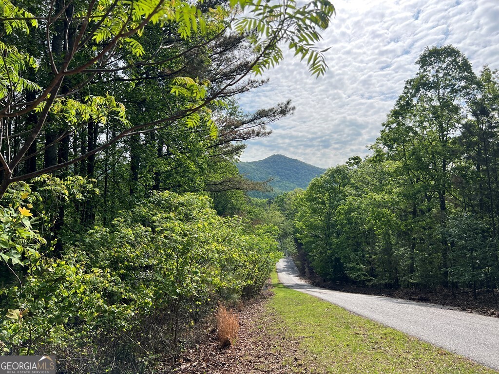 Lot 25 Loftis Mountain Blairsville GA 30512