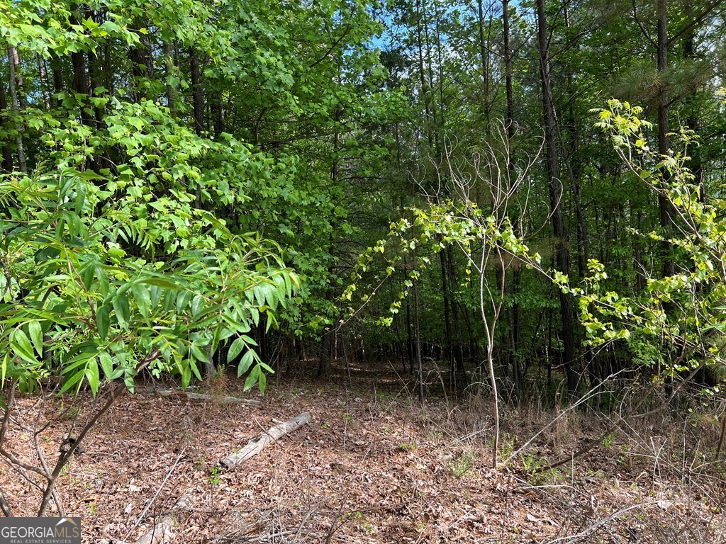 Lot 25 Loftis Mountain Blairsville GA 30512