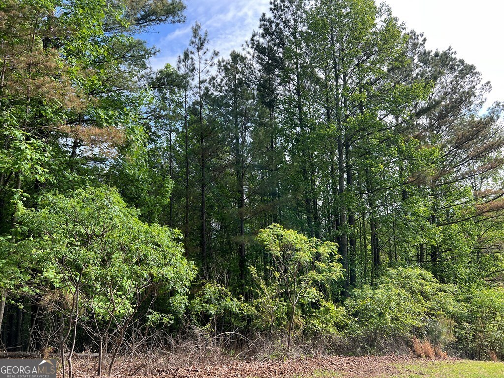 Lot 25 Loftis Mountain Blairsville GA 30512