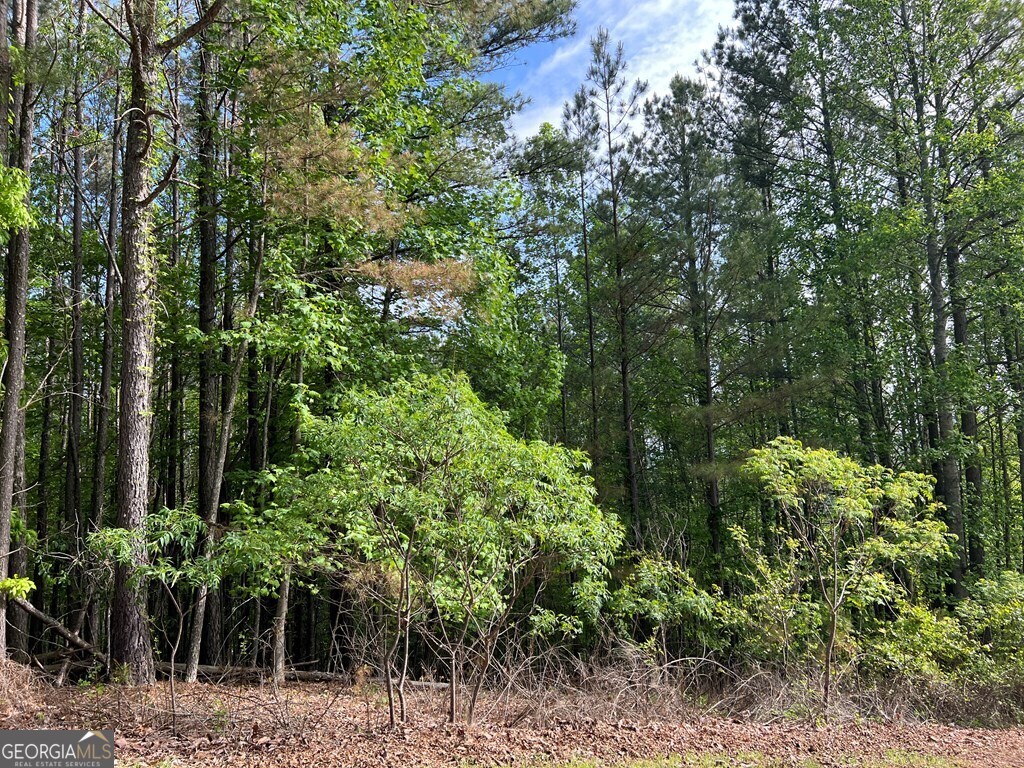 Lot 25 Loftis Mountain Blairsville GA 30512