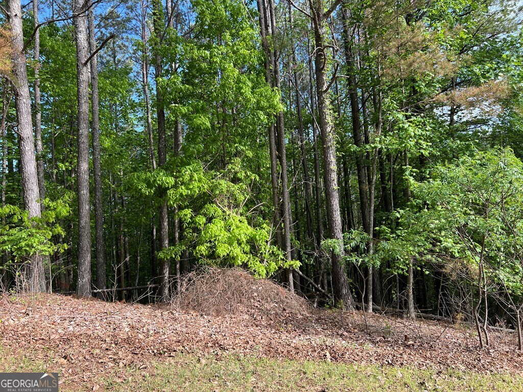 Lot 25 Loftis Mountain Blairsville GA 30512
