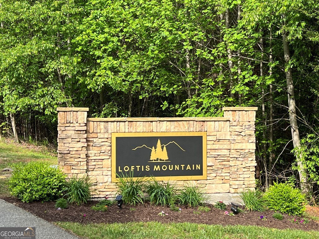 Lot 25 Loftis Mountain Blairsville GA 30512