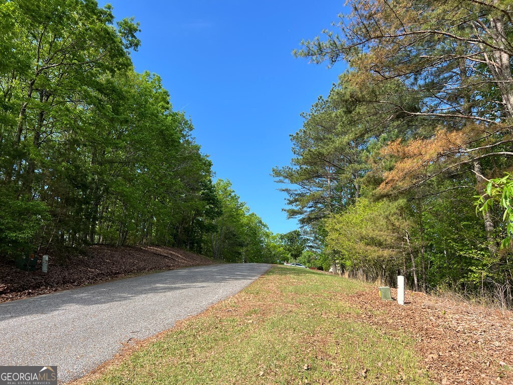 Lot 25 Loftis Mountain Blairsville GA 30512