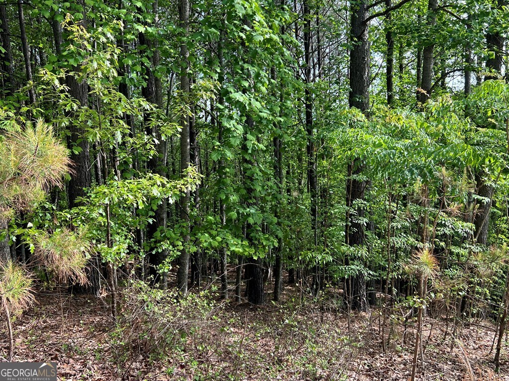 Lot 25 Loftis Mountain Blairsville GA 30512