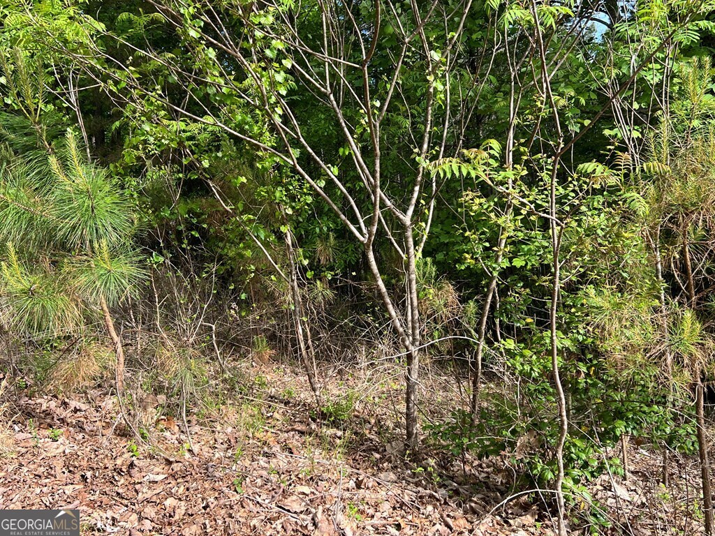Lot 25 Loftis Mountain Blairsville GA 30512