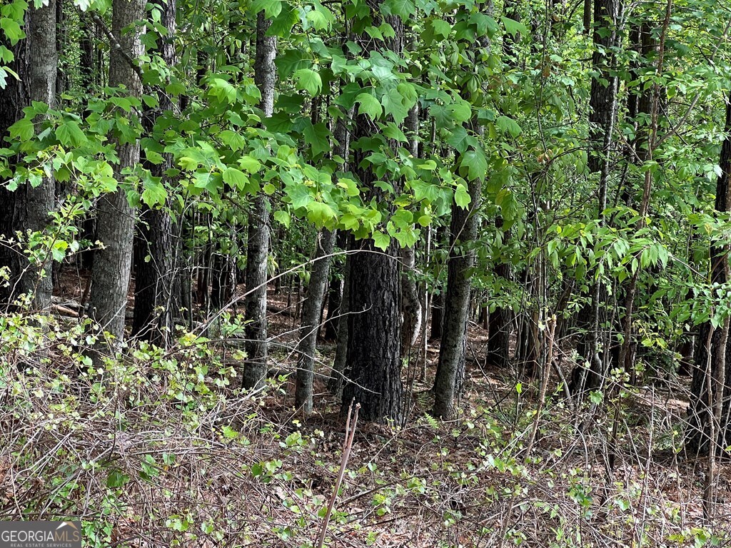 Lot 25 Loftis Mountain Blairsville GA 30512