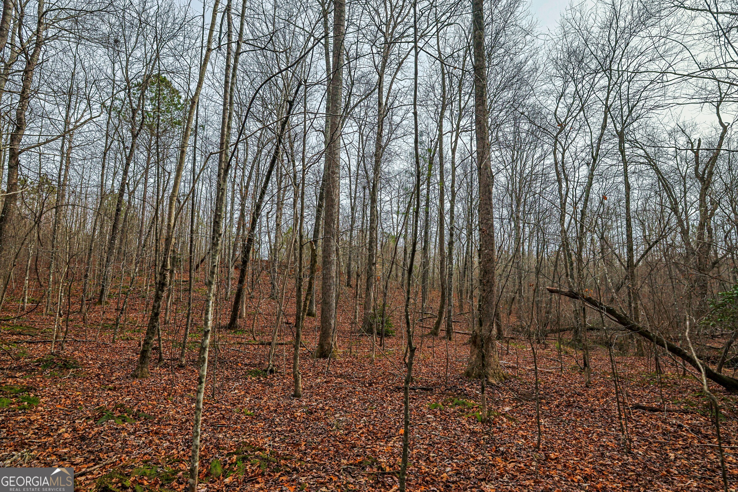 0 Trout Farm Road Talking Rock GA 30175