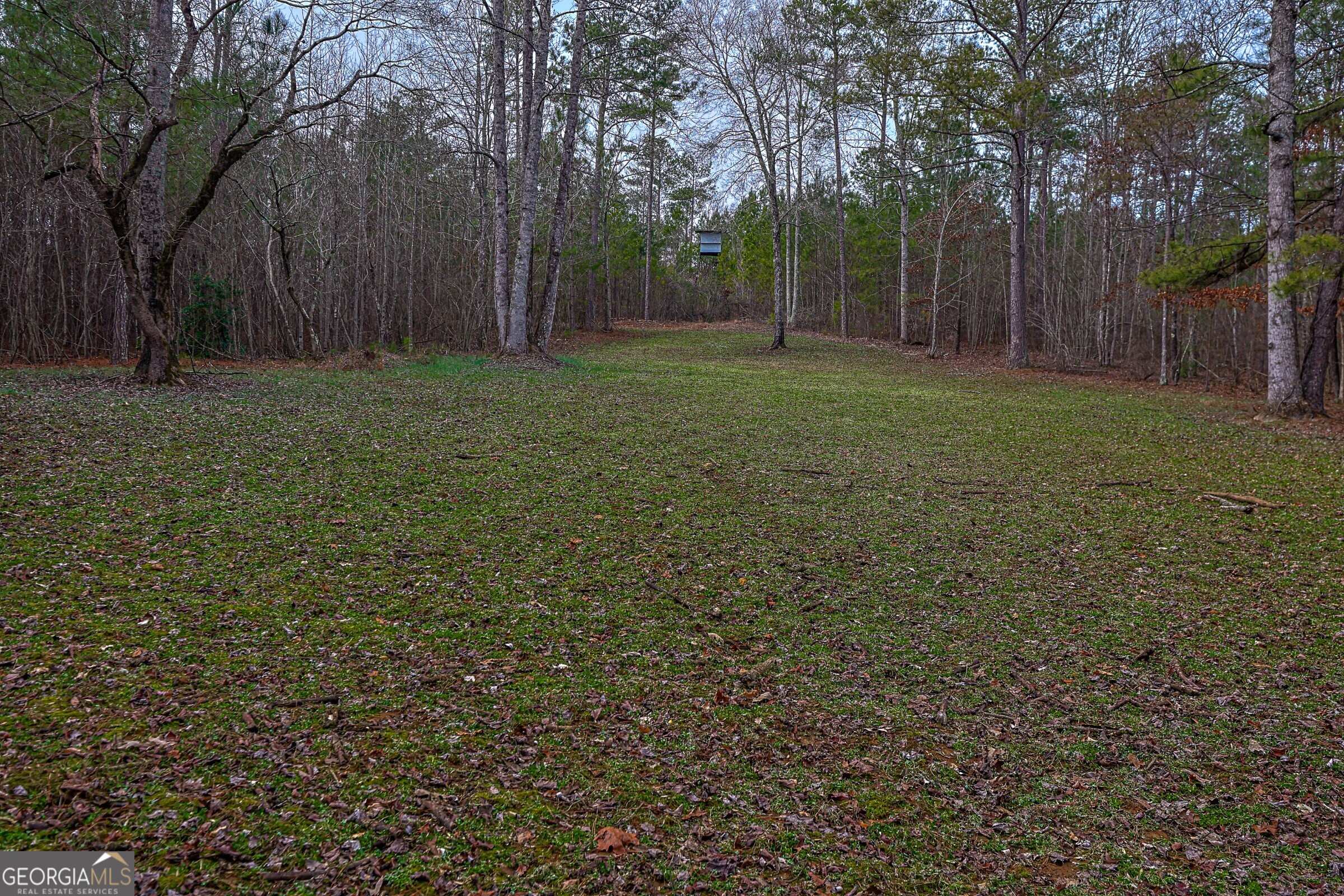 0 Trout Farm Road Talking Rock GA 30175
