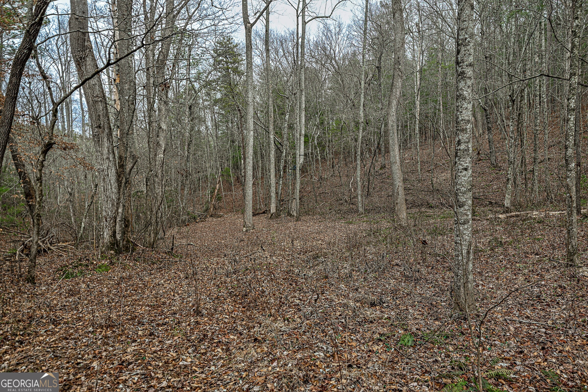 0 Trout Farm Road Talking Rock GA 30175