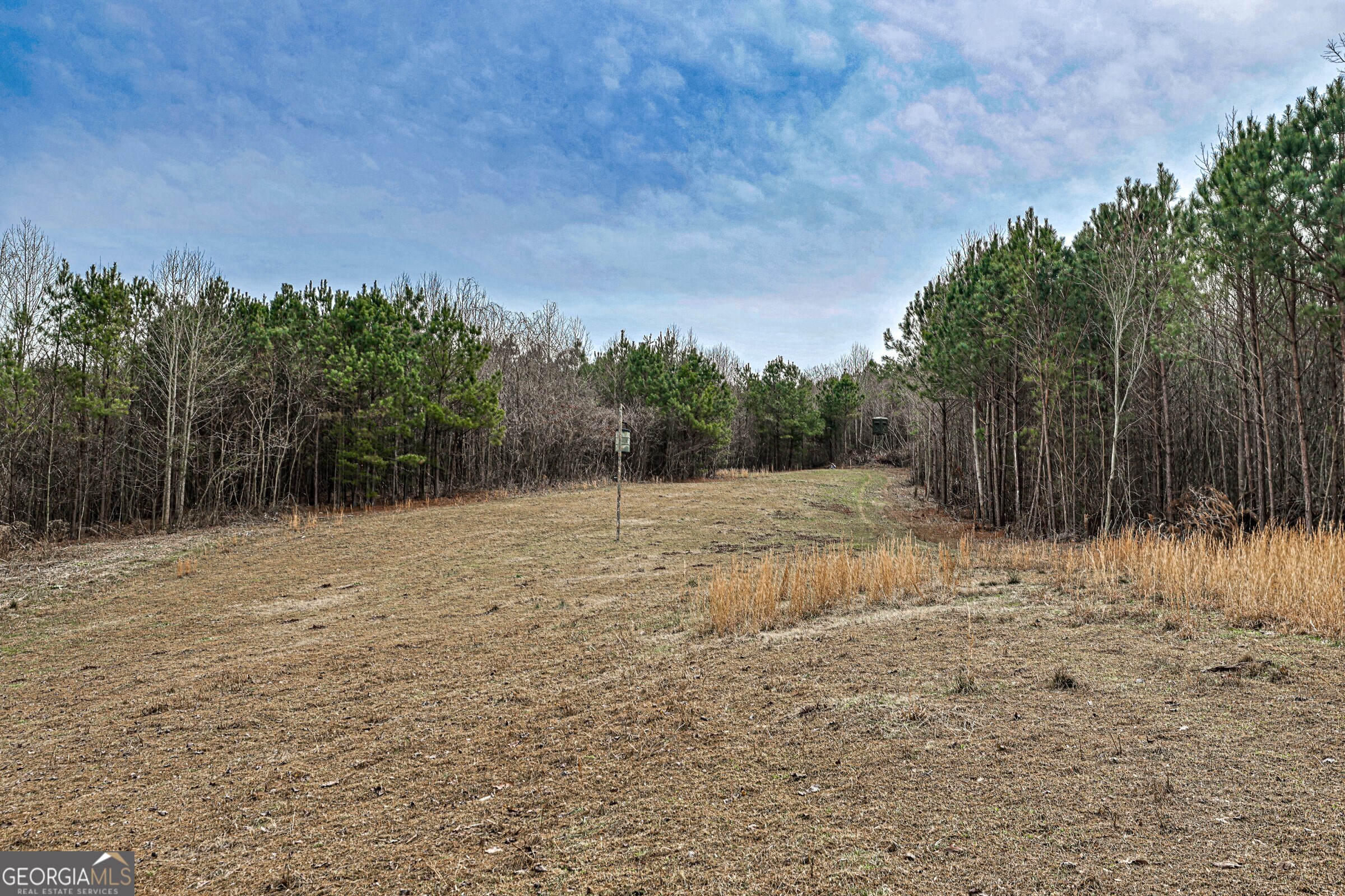 0 Trout Farm Road Talking Rock GA 30175