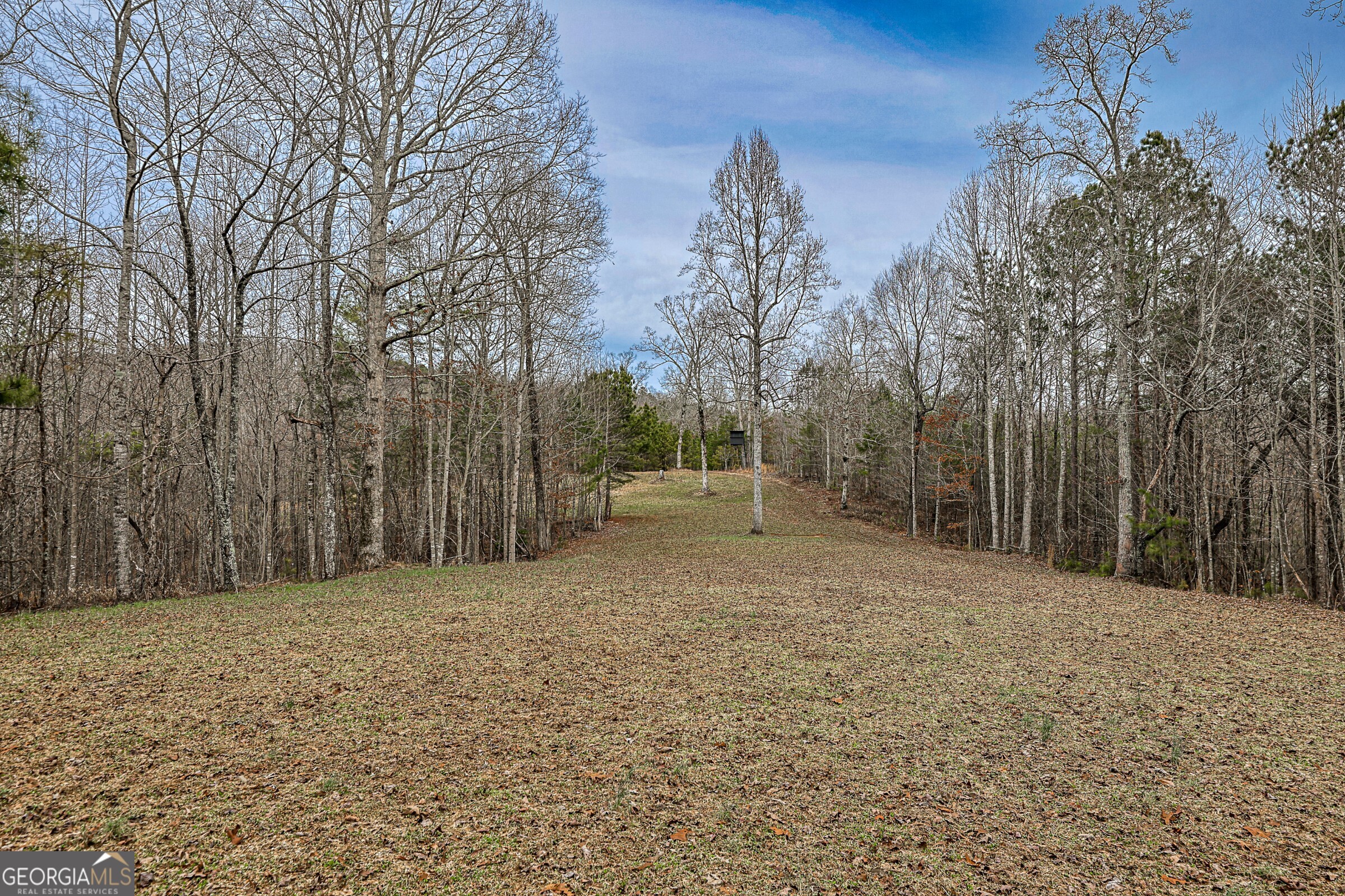 0 Trout Farm Road Talking Rock GA 30175