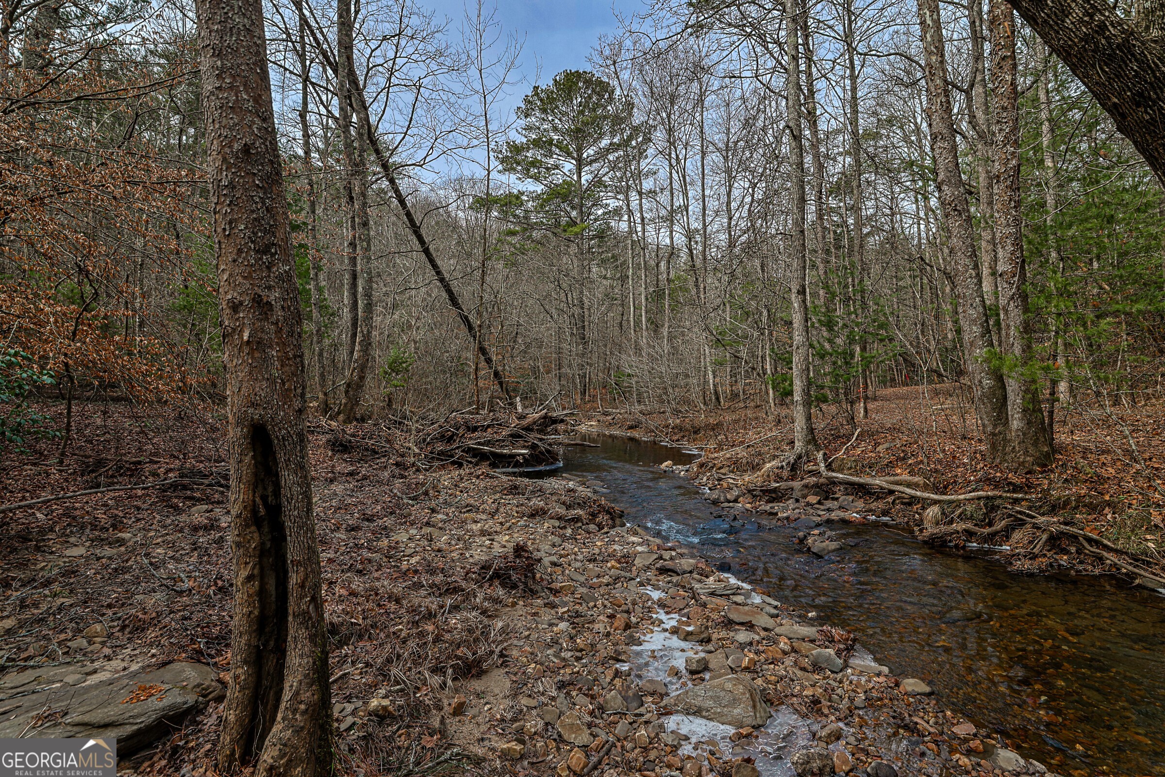 0 Trout Farm Road Talking Rock GA 30175