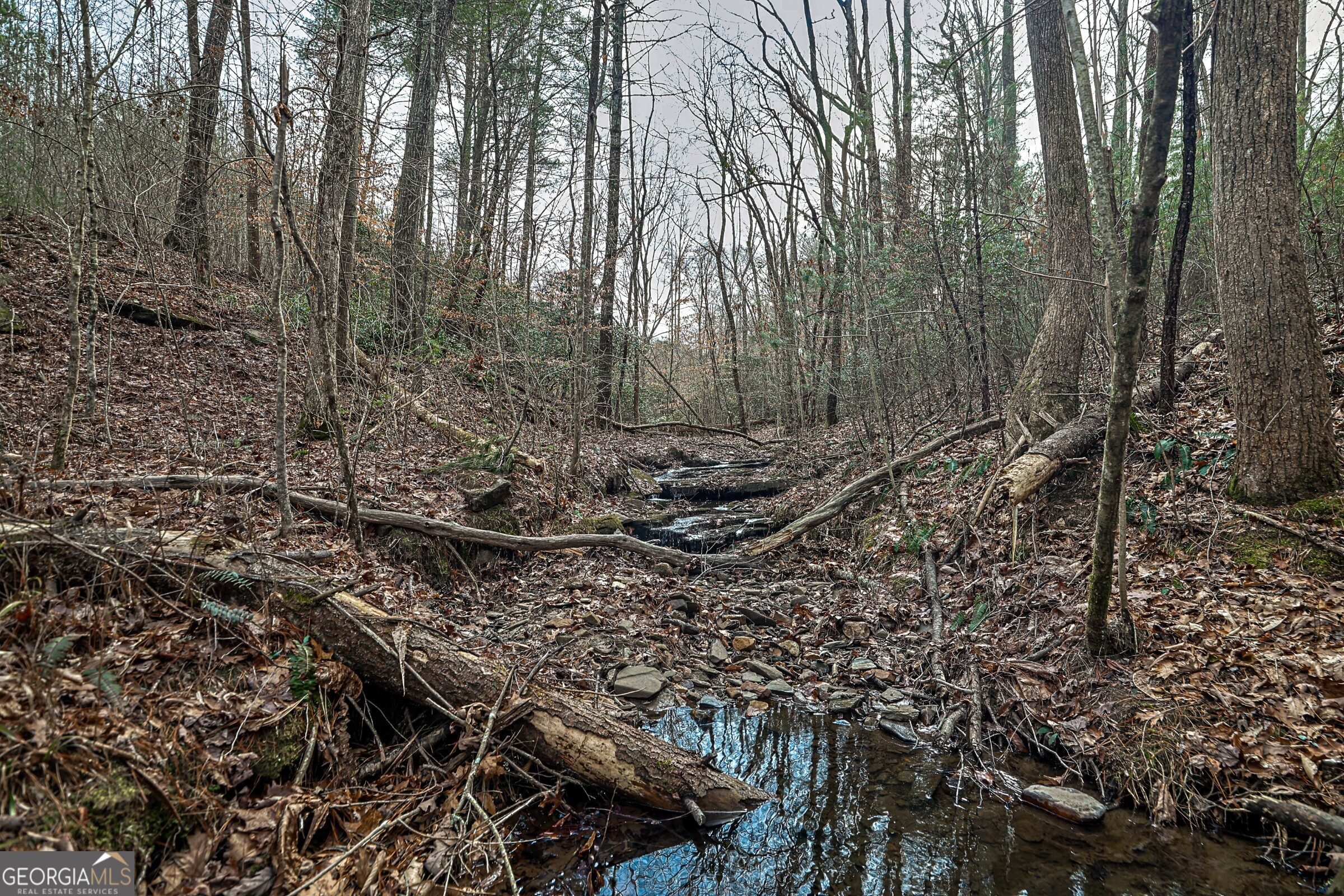 0 Trout Farm Road Talking Rock GA 30175