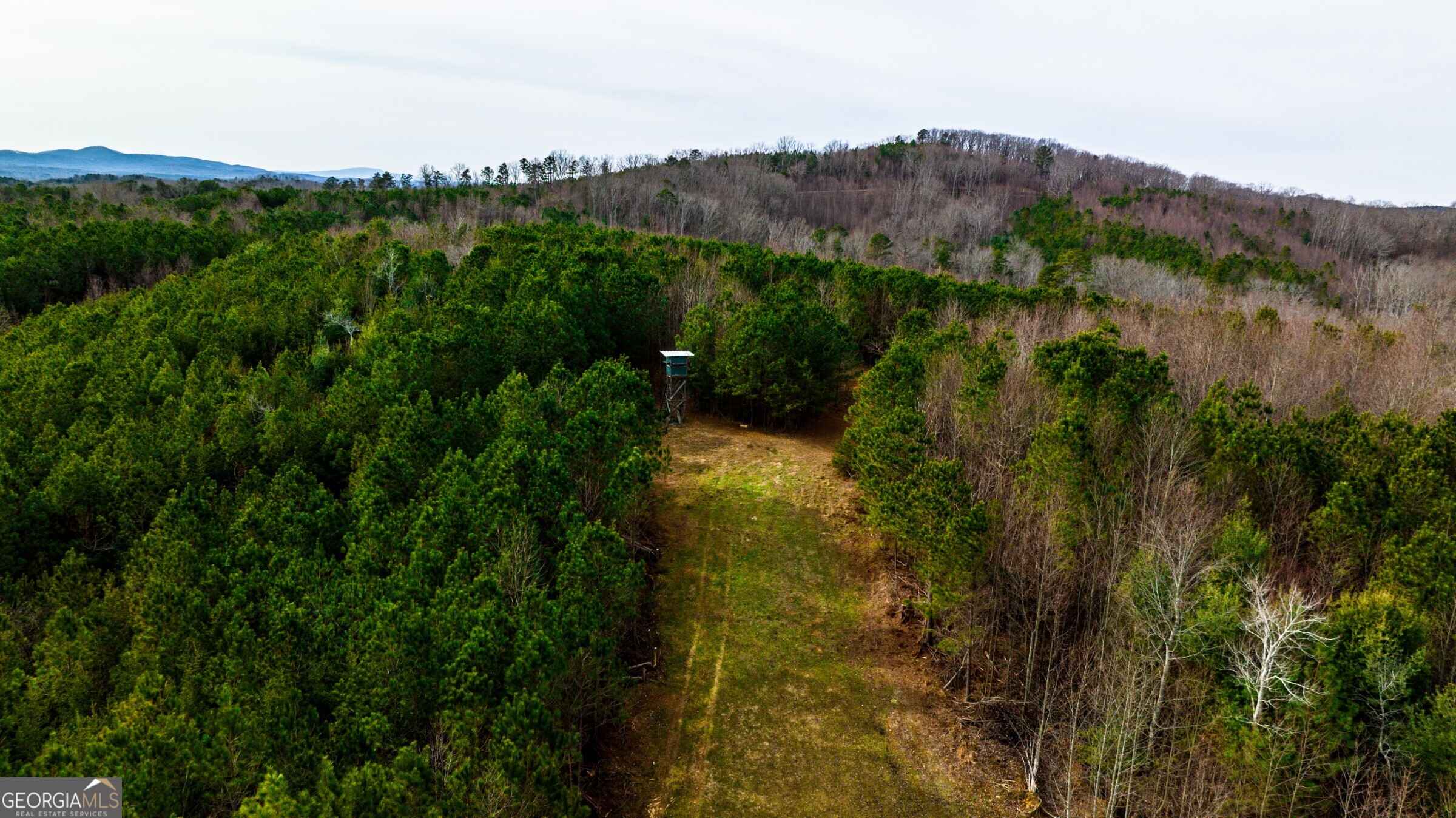 0 Trout Farm Road Talking Rock GA 30175