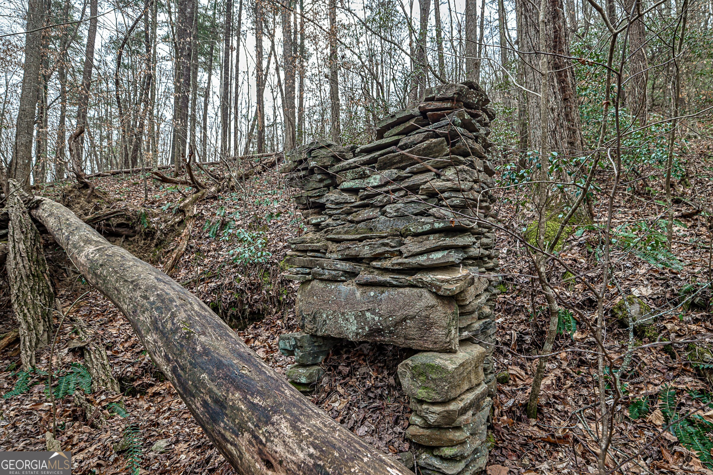 0 Trout Farm Road Talking Rock GA 30175