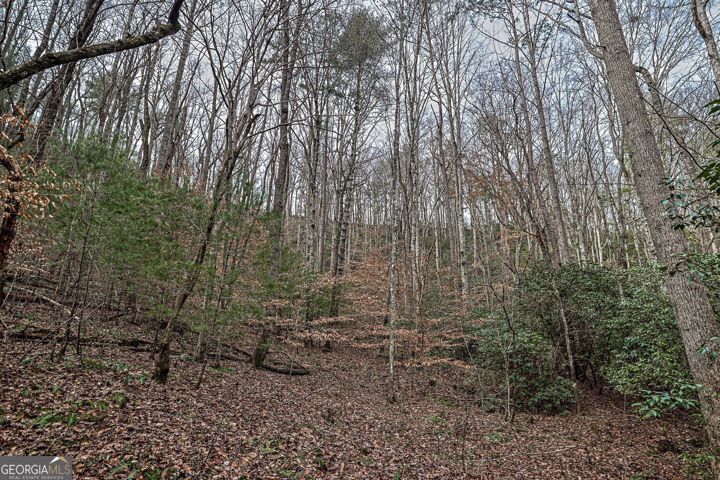 0 Trout Farm Road Talking Rock GA 30175