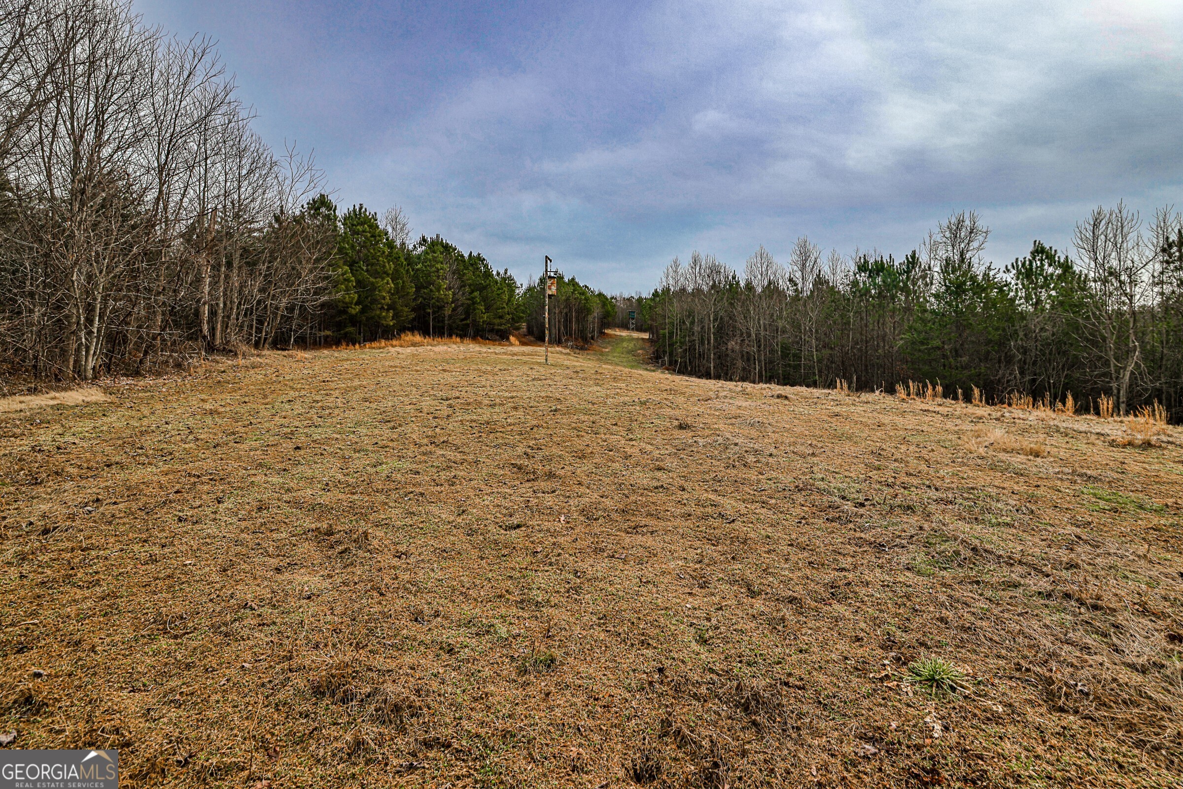0 Trout Farm Road Talking Rock GA 30175