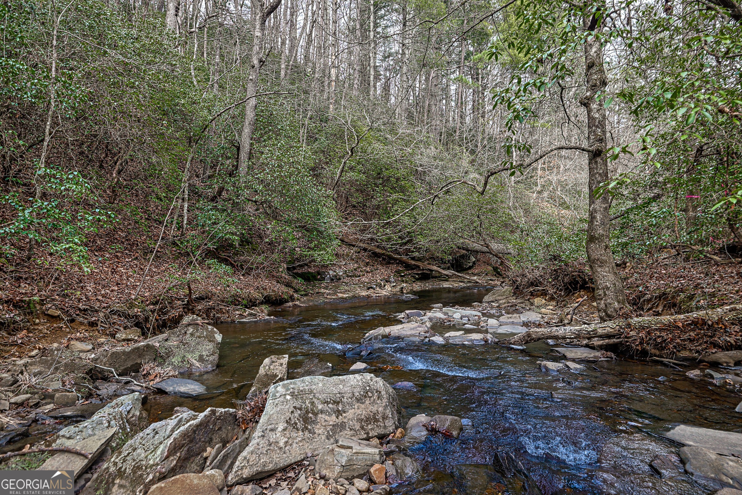0 Trout Farm Road Talking Rock GA 30175