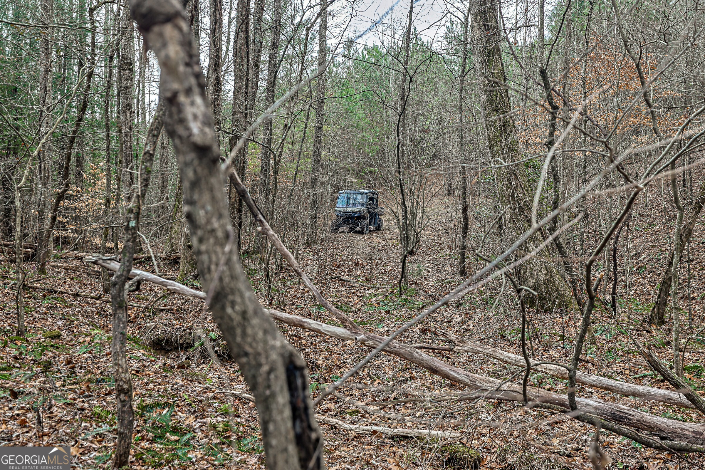 0 Trout Farm Road Talking Rock GA 30175