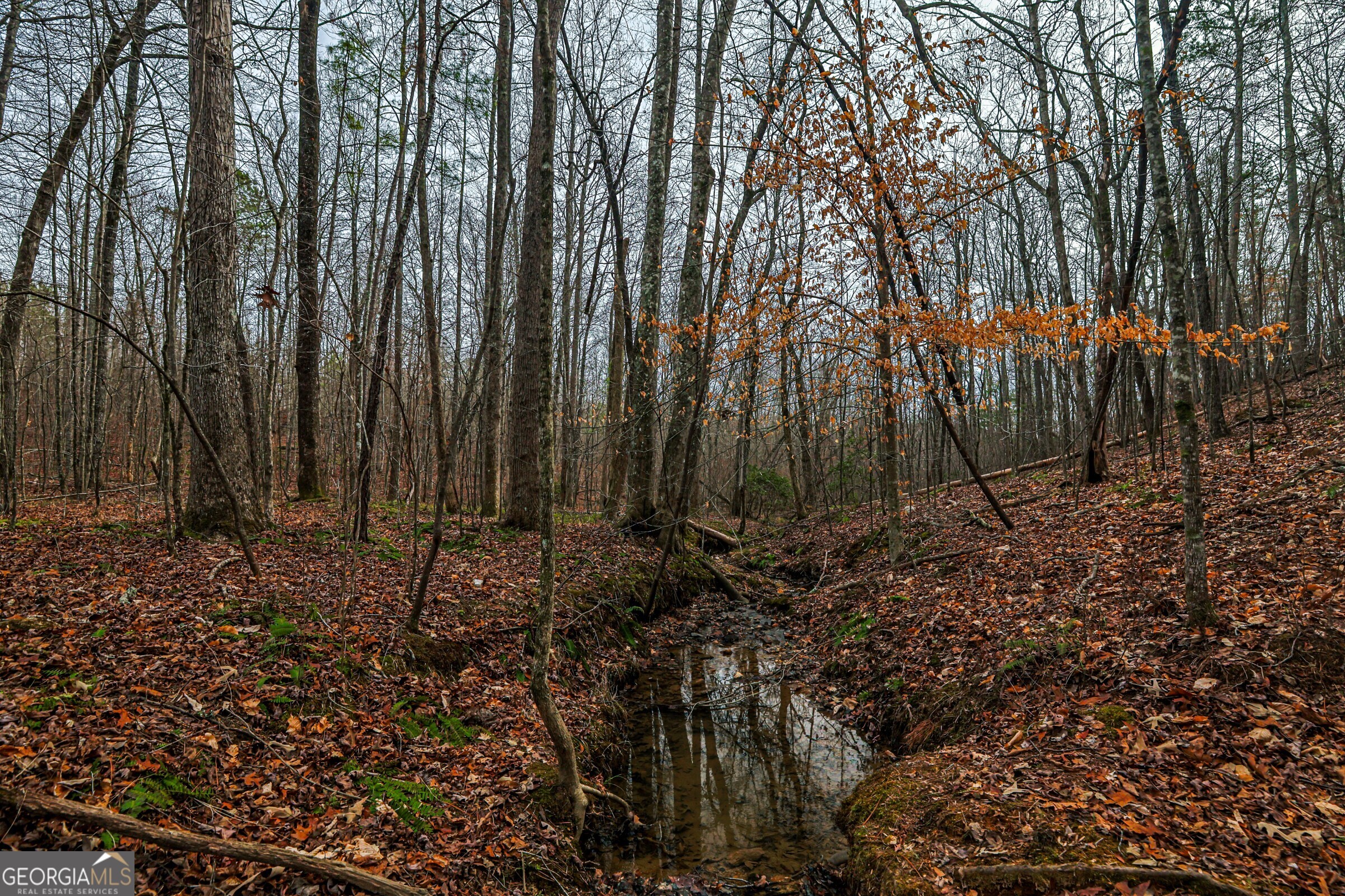 0 Trout Farm Road Talking Rock GA 30175
