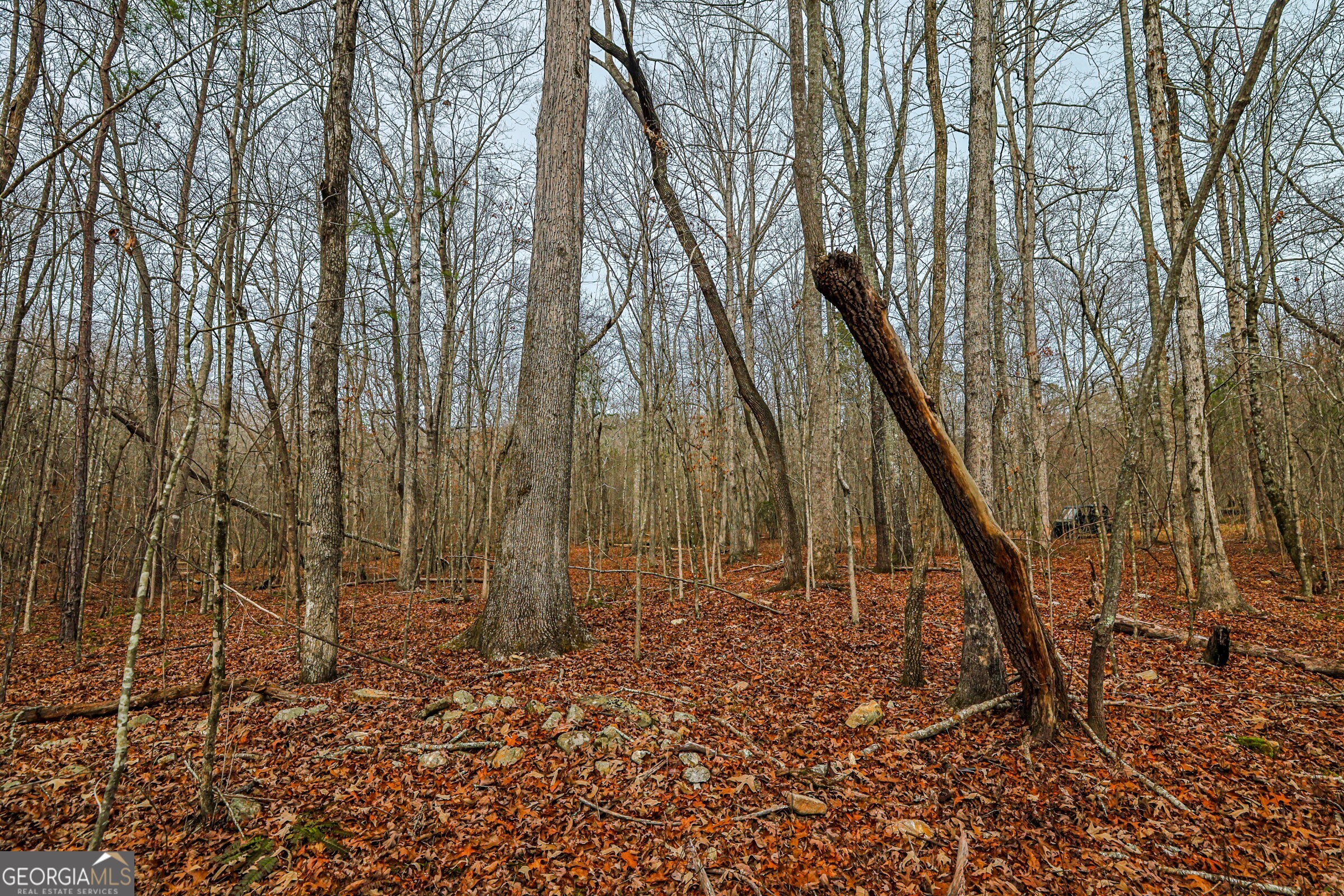 0 Trout Farm Road Talking Rock GA 30175