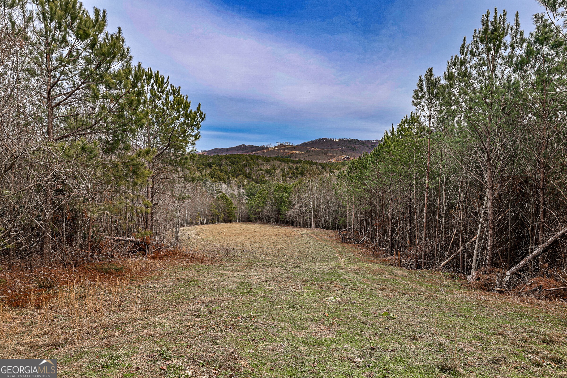 0 Trout Farm Road Talking Rock GA 30175