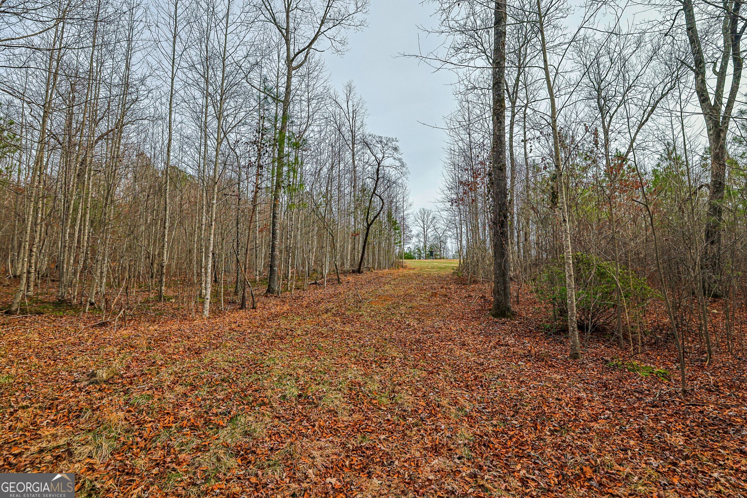 0 Trout Farm Road Talking Rock GA 30175