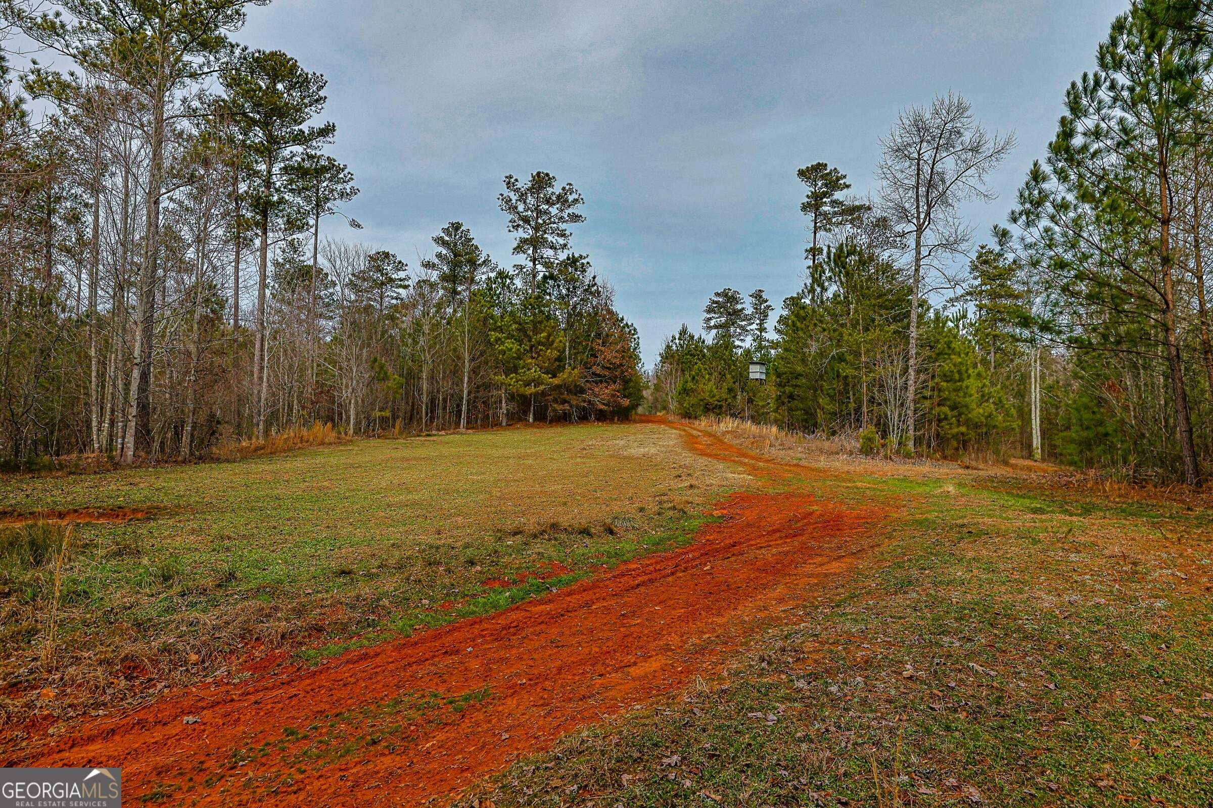 0 Trout Farm Road Talking Rock GA 30175