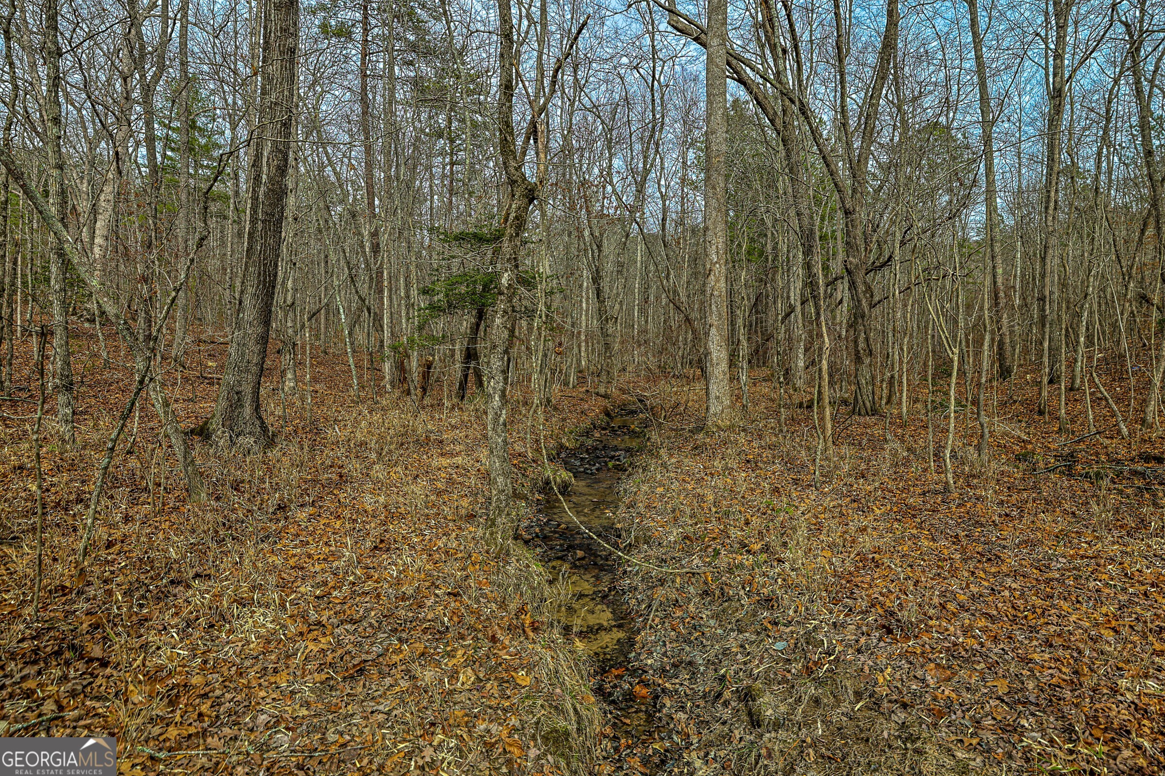 0 Trout Farm Road Talking Rock GA 30175