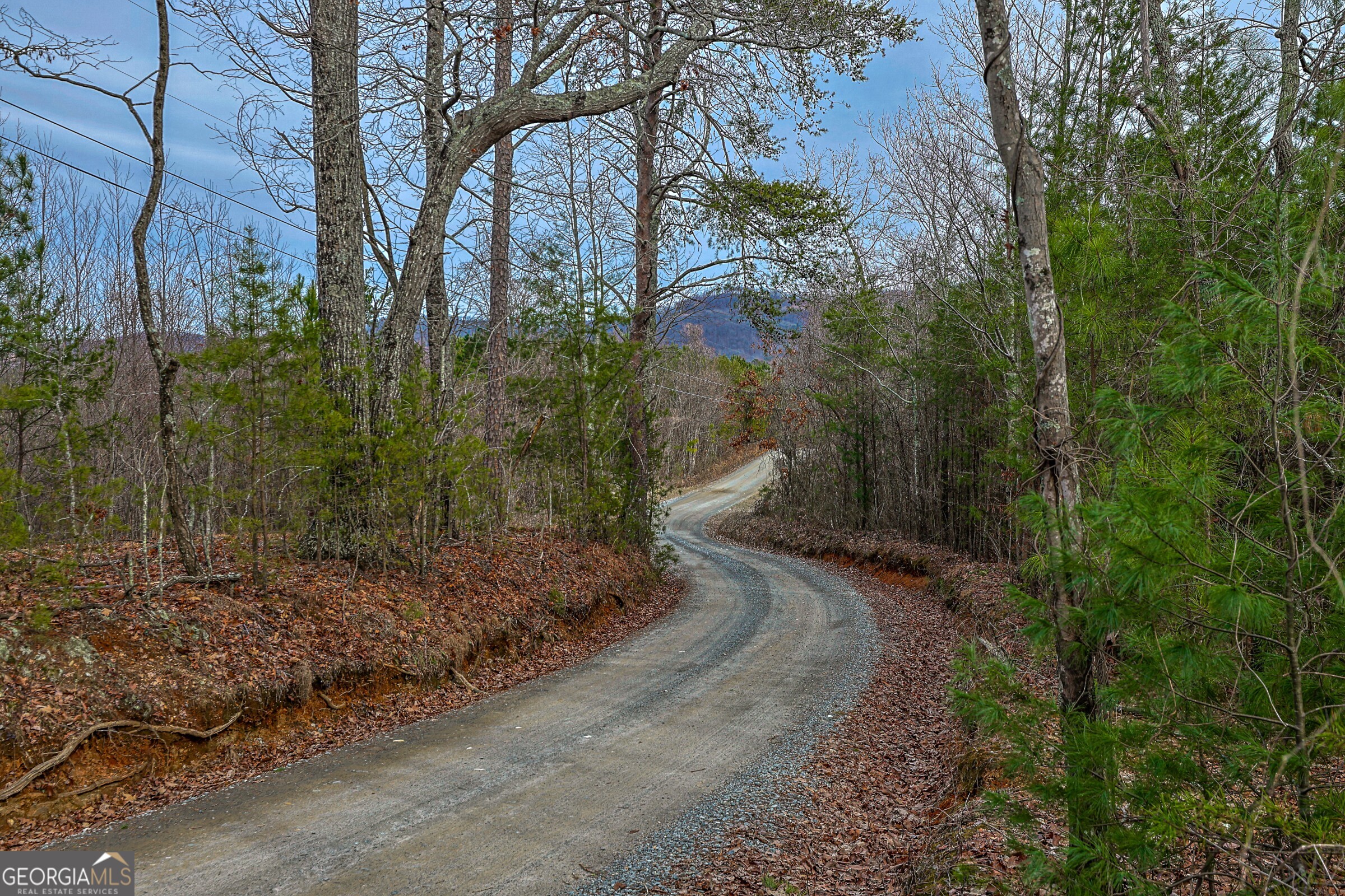 0 Trout Farm Road Talking Rock GA 30175