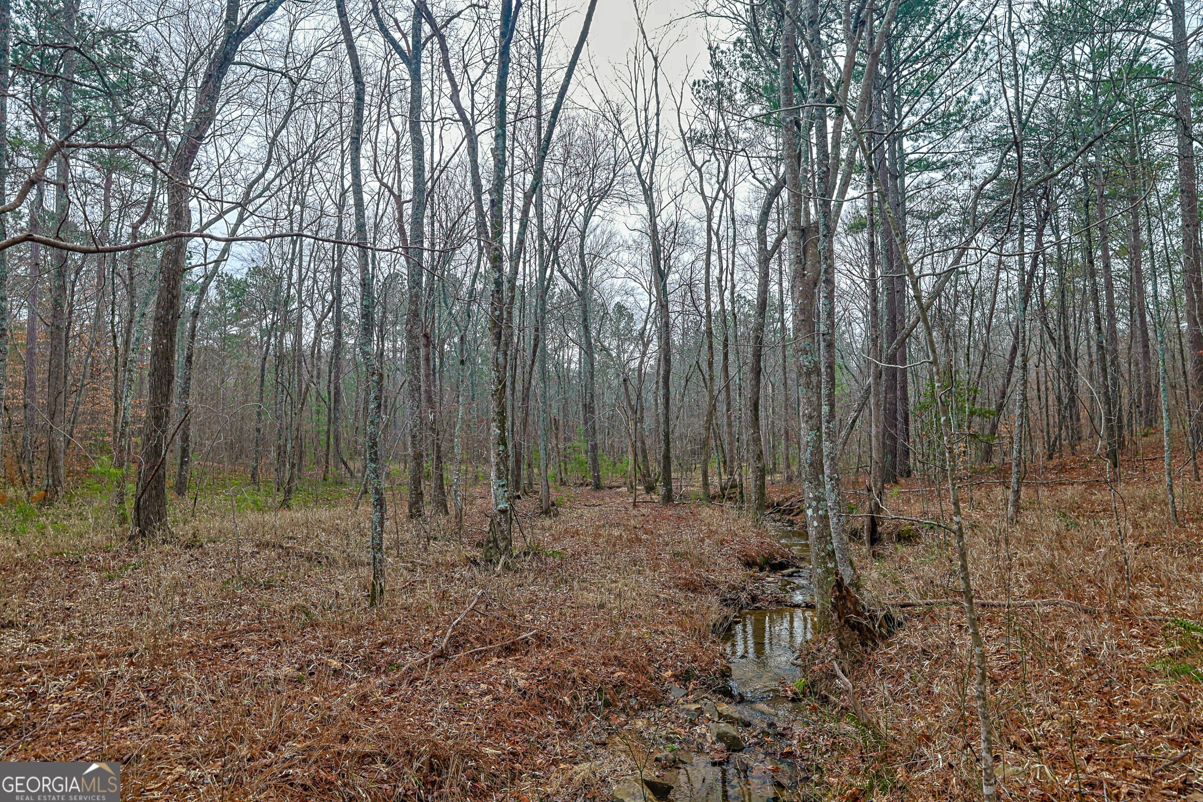 0 Trout Farm Road Talking Rock GA 30175
