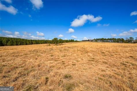 119 Inland Drive 3 Acres Talking Rock GA 30175
