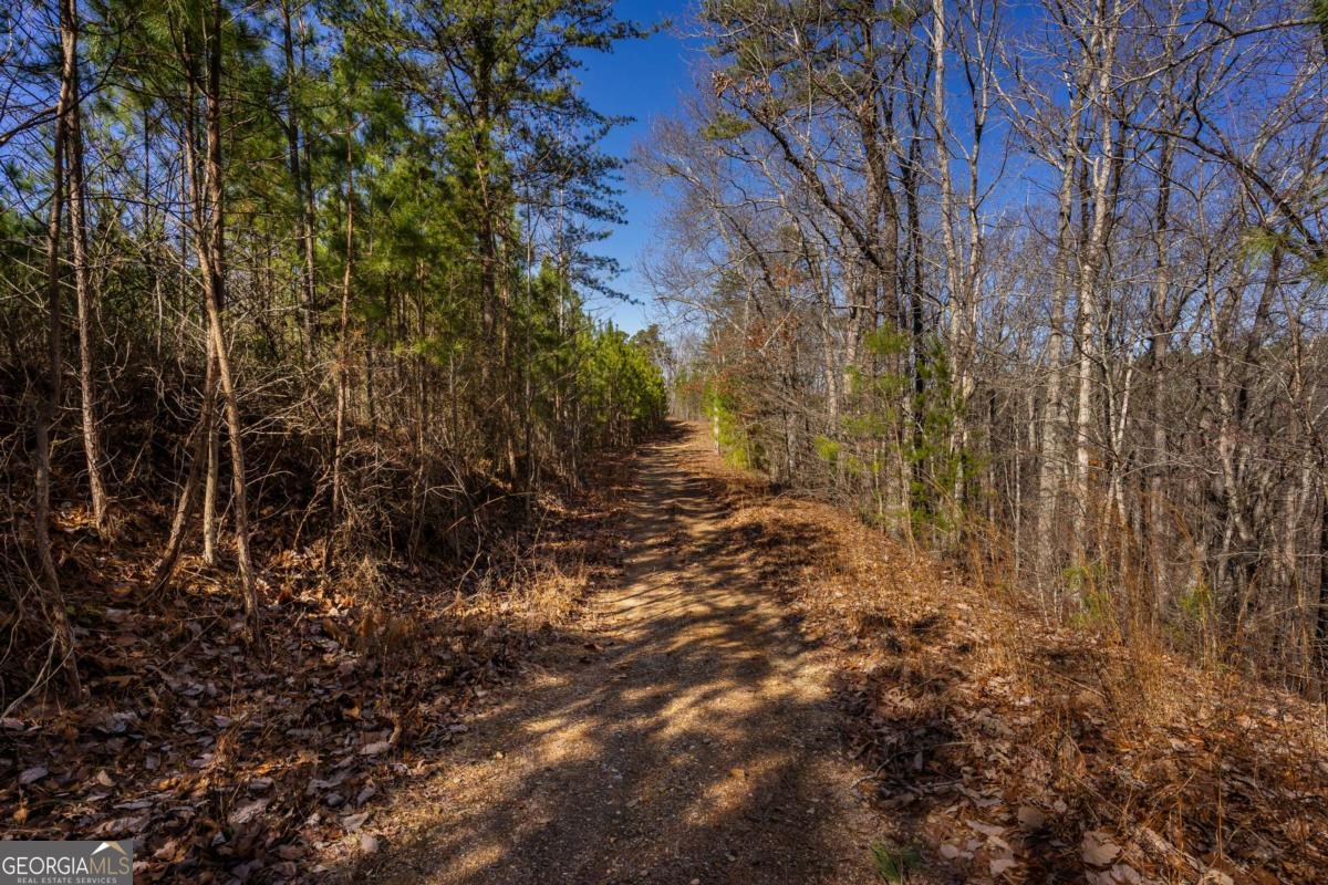 825 Young Loop Fairmount GA 30139
