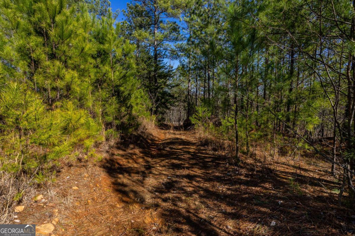 825 Young Loop Fairmount GA 30139