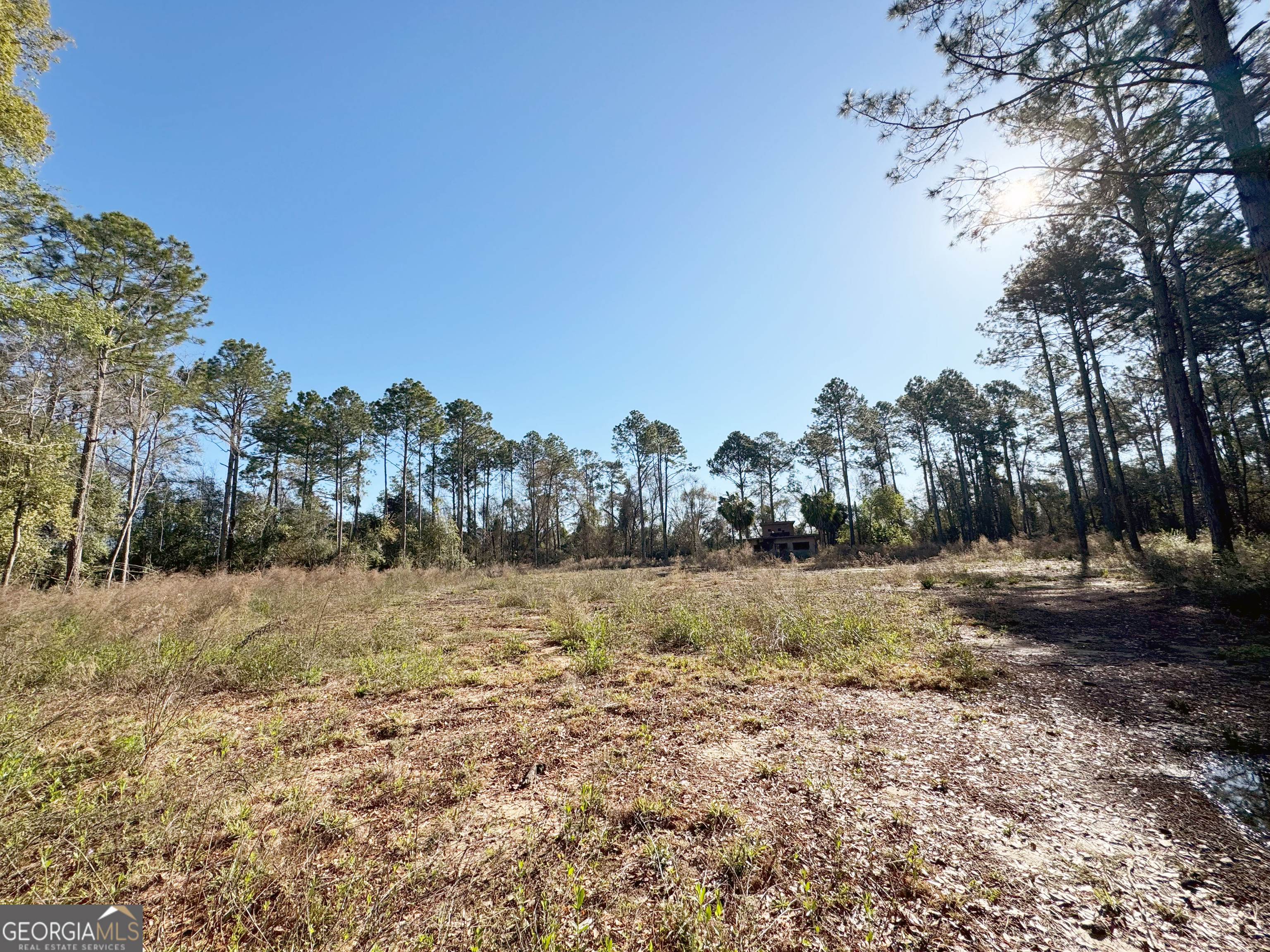 0 Old Ga Highway 3 Pelham GA 31779