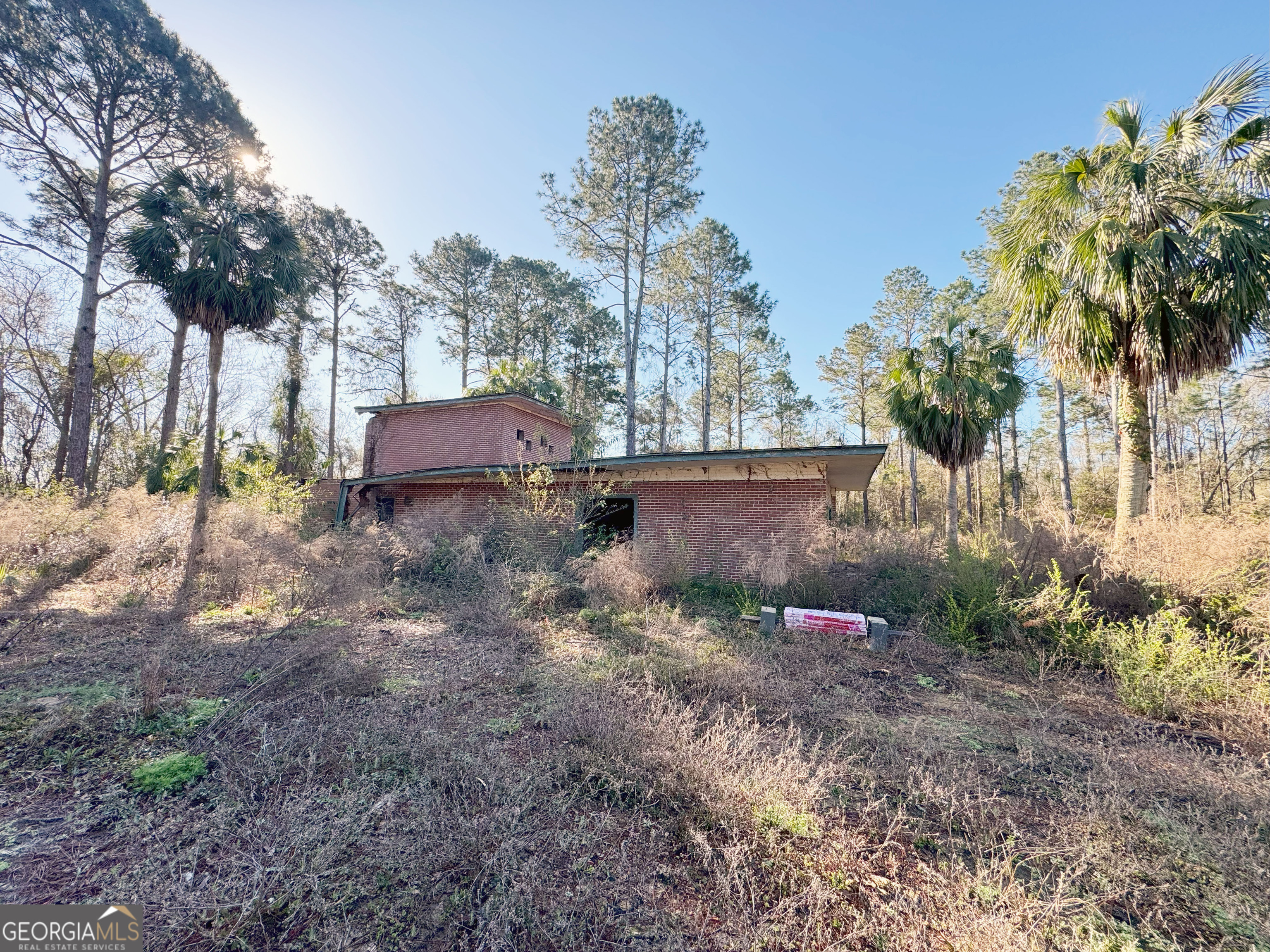 0 Old Ga Highway 3 Pelham GA 31779