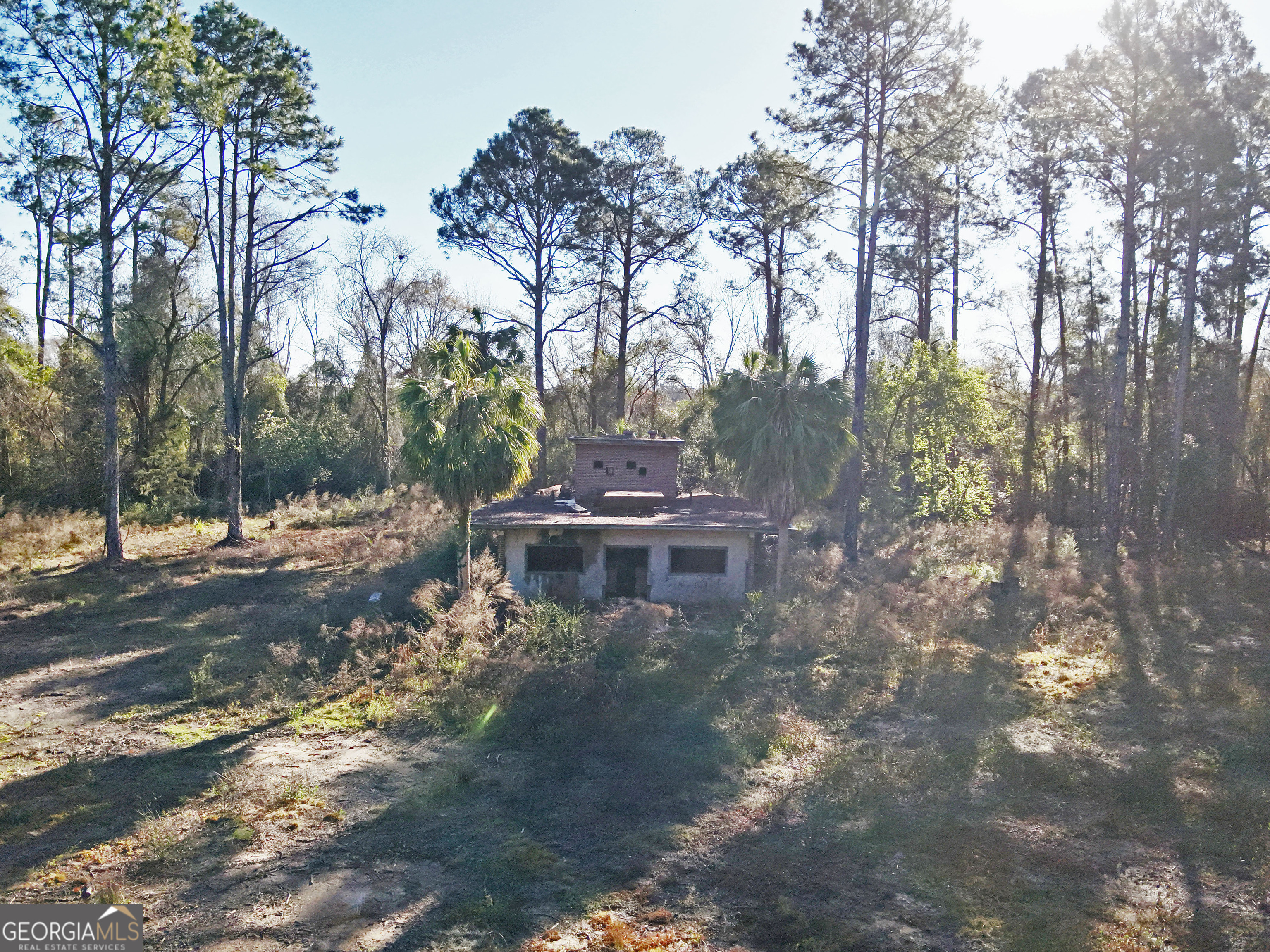0 Old Ga Highway 3 Pelham GA 31779