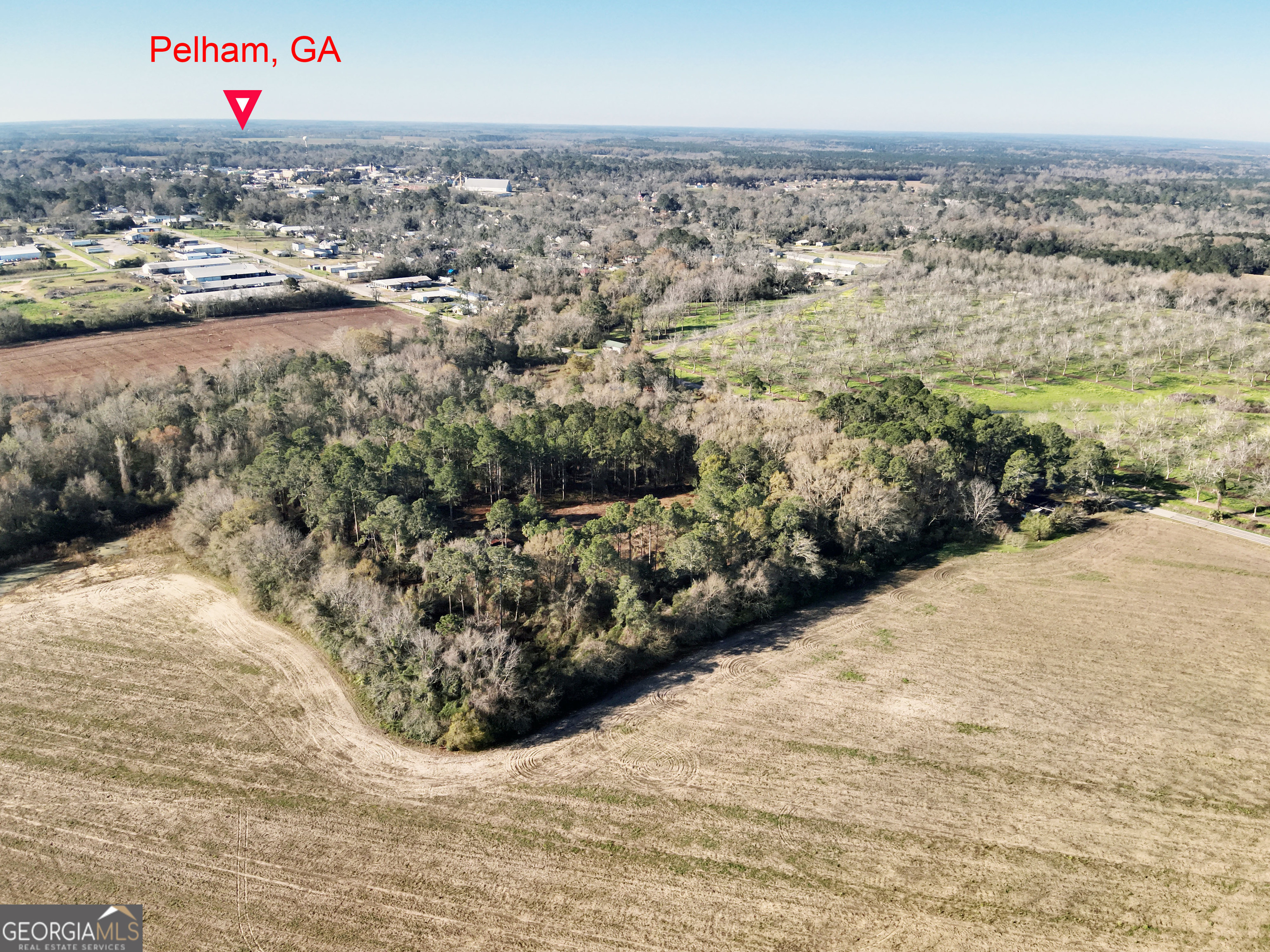 0 Old Ga Highway 3 Pelham GA 31779