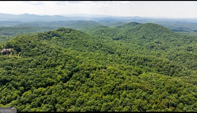 0 Oceola Drive Ellijay GA 30540