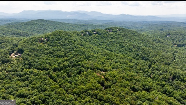0 Oceola Drive Ellijay GA 30540